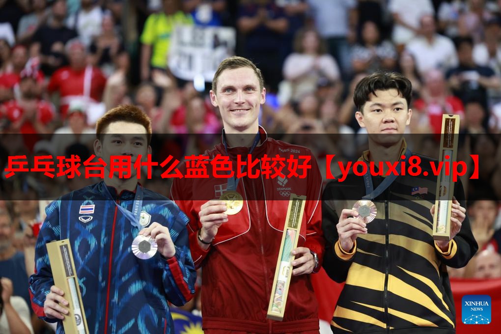 乒乓球台用什么蓝色比较好