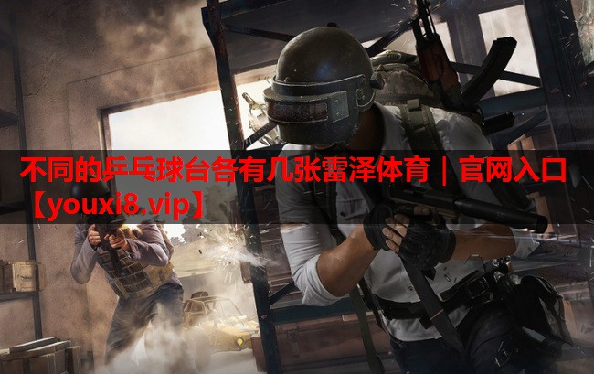 不同的乒乓球台各有几张雷泽体育｜官网入口