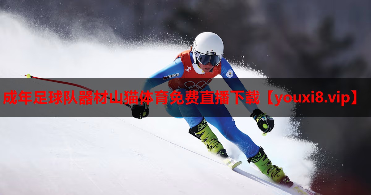 成年足球队器材山猫体育免费直播下载