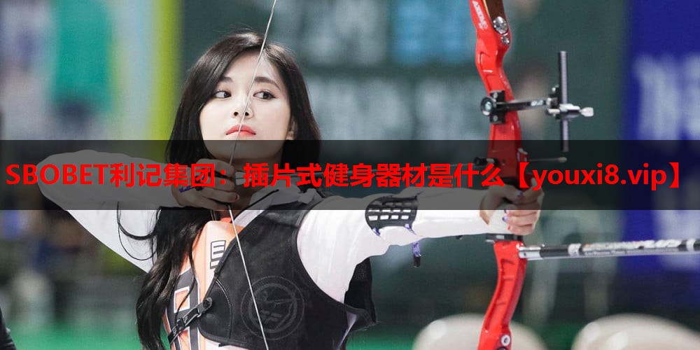 插片式健身器材是什么 插片式健身器材是什么