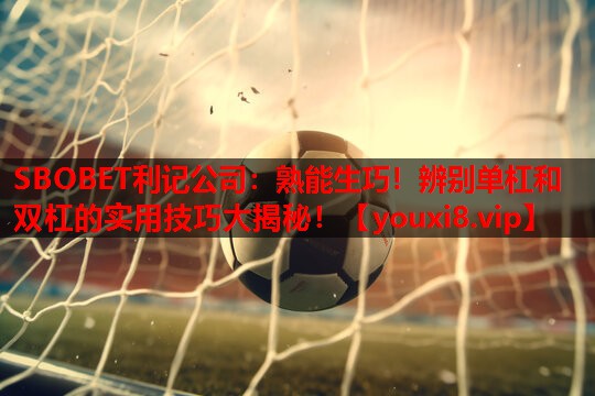 熟能生巧!辨别单杠和双杠的实用技巧大揭秘! 熟能生巧!辨别单杠和双杠的实用技巧大揭秘!