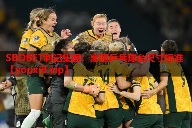 家庭乒乓球台尺寸标准 家庭乒乓球台尺寸标准