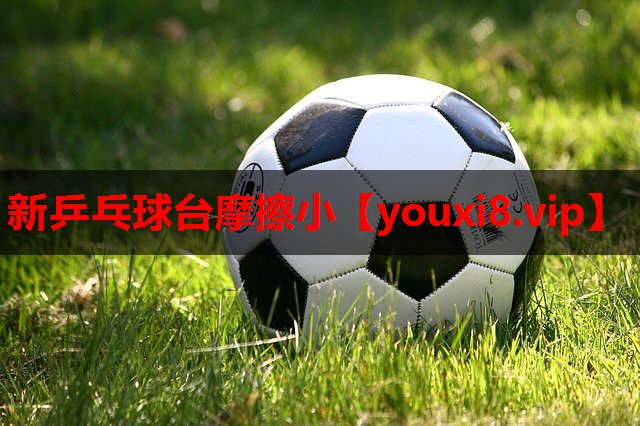 新乒乓球台摩擦小 新乒乓球台摩擦小