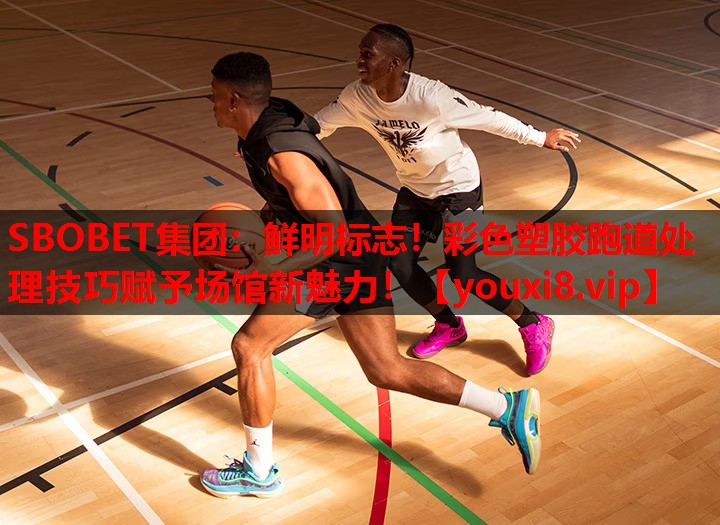 鲜明标志!彩色塑胶跑道处理技巧赋予场馆新魅力! 鲜明标志!彩色塑胶跑道处理技巧赋予场馆新魅力!