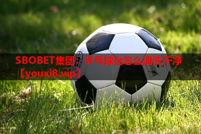 乒乓球台怎么清洗干净 乒乓球台怎么清洗干净