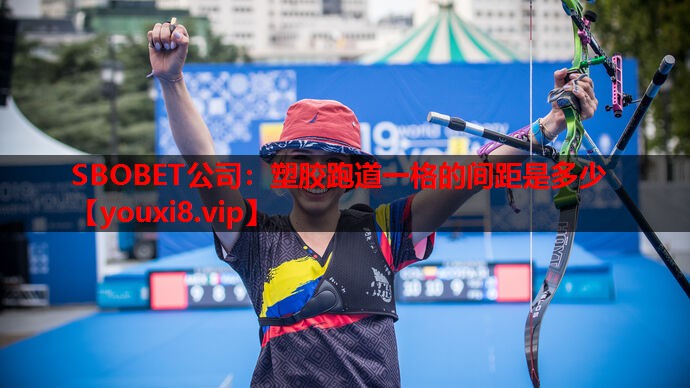 塑胶跑道一格的间距是多少 塑胶跑道一格的间距是多少