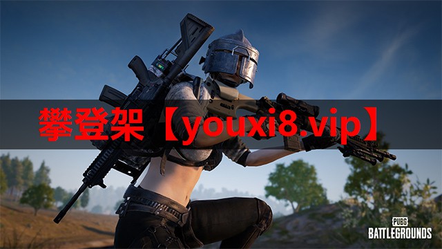 攀登架 攀登架