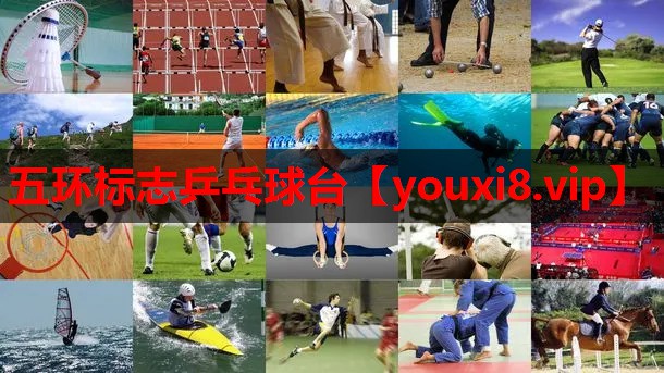 五环标志乒乓球台